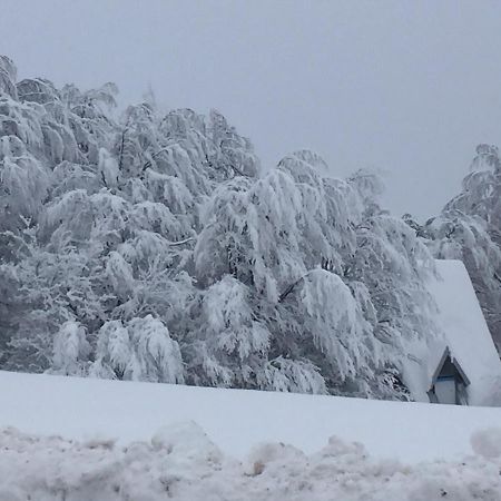 فيلا Raškaفي Golija Vikendica Cesta Vrela المظهر الخارجي الصورة