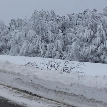 فيلا Raškaفي Golija Vikendica Cesta Vrela المظهر الخارجي الصورة