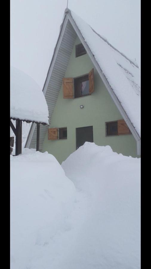 فيلا Raškaفي Golija Vikendica Cesta Vrela المظهر الخارجي الصورة