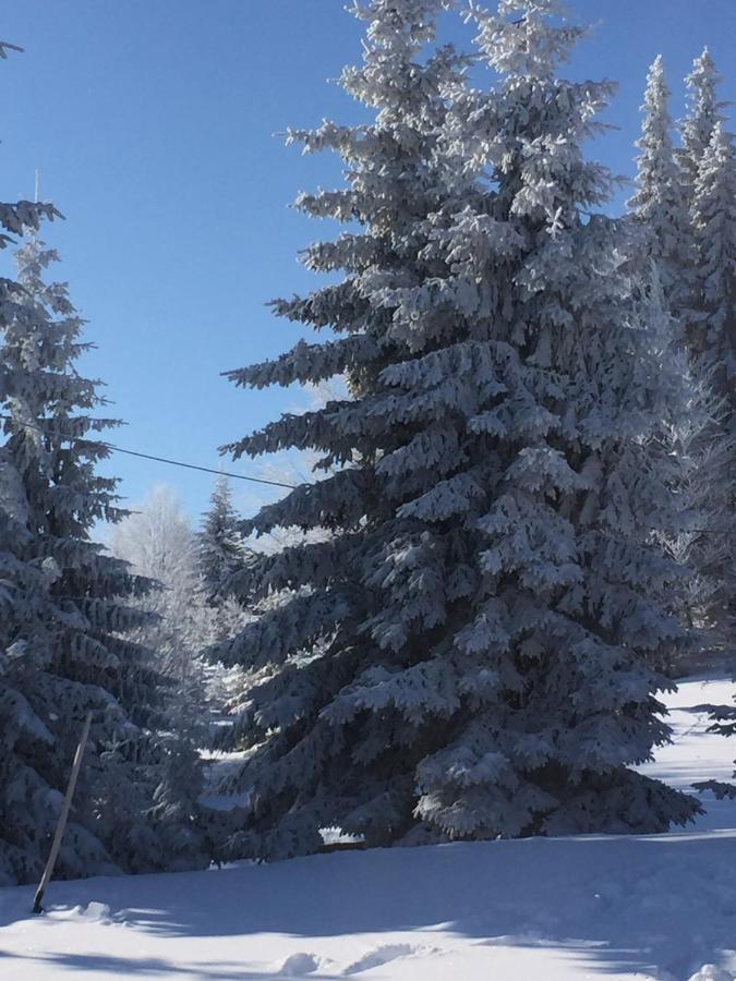 فيلا Raškaفي Golija Vikendica Cesta Vrela المظهر الخارجي الصورة