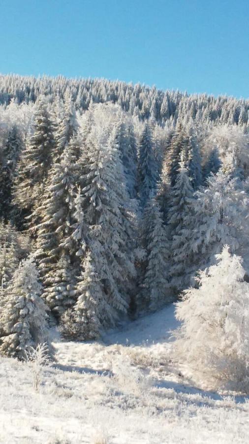 فيلا Raškaفي Golija Vikendica Cesta Vrela المظهر الخارجي الصورة