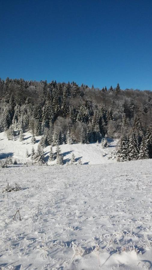 فيلا Raškaفي Golija Vikendica Cesta Vrela المظهر الخارجي الصورة