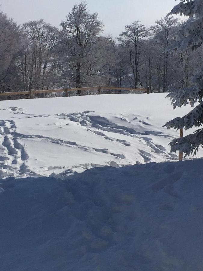 فيلا Raškaفي Golija Vikendica Cesta Vrela المظهر الخارجي الصورة