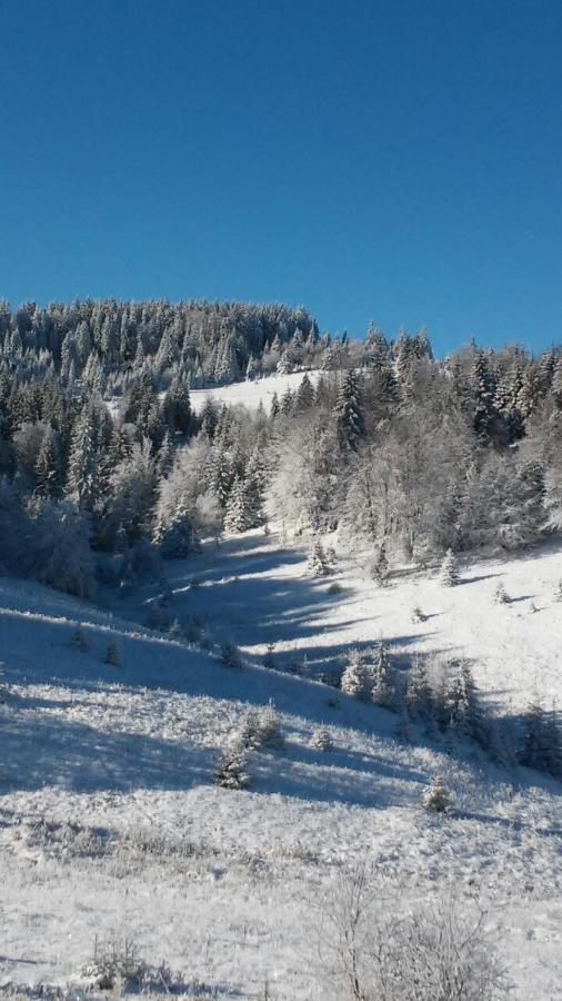 فيلا Raškaفي Golija Vikendica Cesta Vrela المظهر الخارجي الصورة